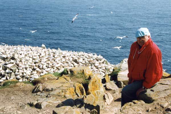 Bird-Rock-Newfoundland