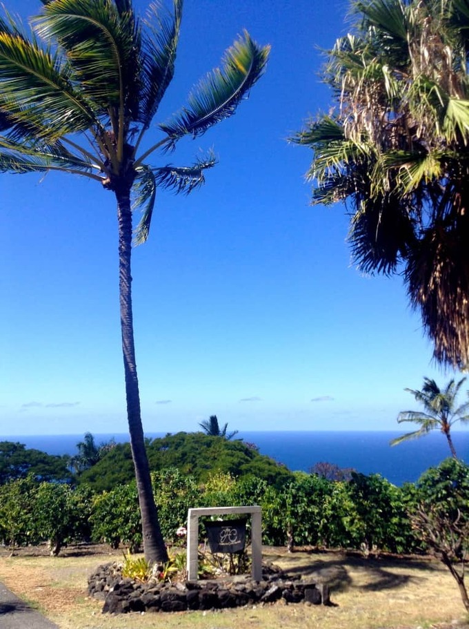 original-hawaiian-chocolate-factory