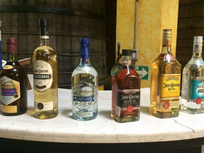 tequila-in-mexico