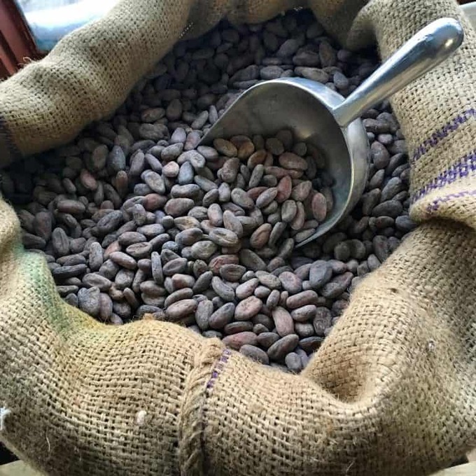 aschenti-cocoa