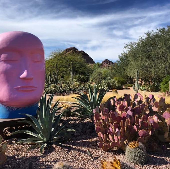 desert-botanical-garden