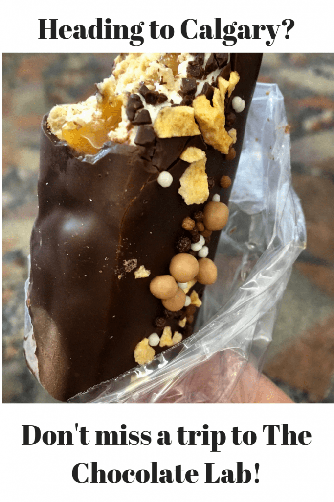 The Chocolate Lab A Must Visit For Chocolate Lovers In - 