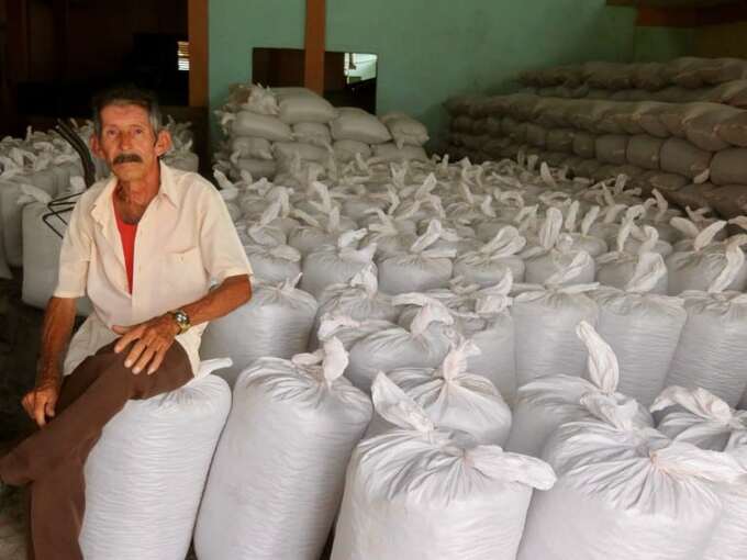 cuban-cacao