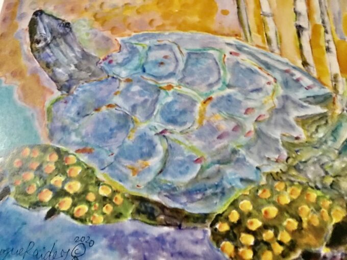 snapping-turtle