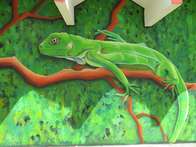 street-murals-san-nicolas