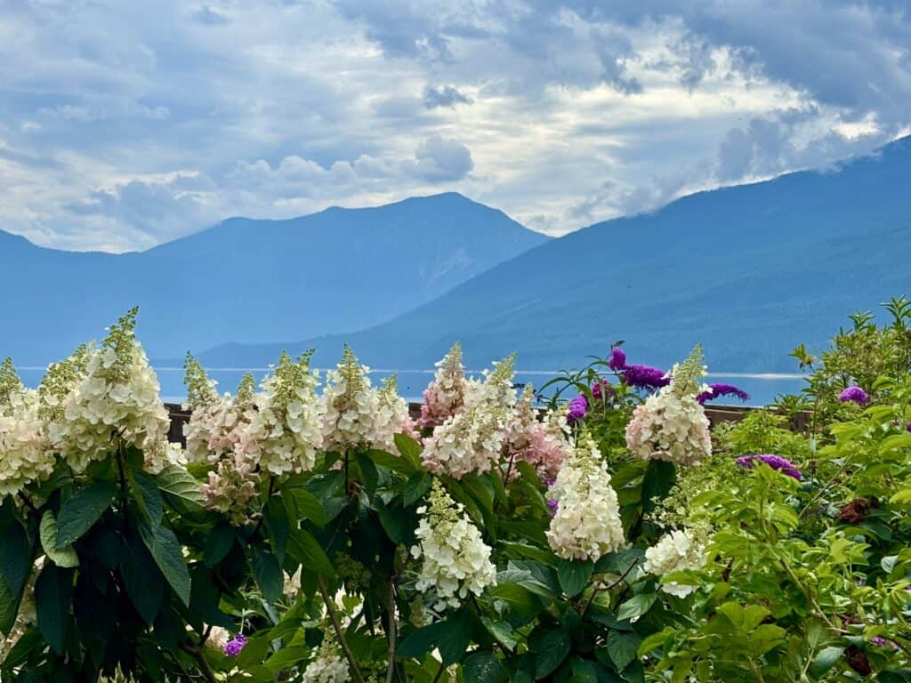 beautiful-nakusp-bc