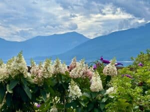 nakusp-kootenay-region