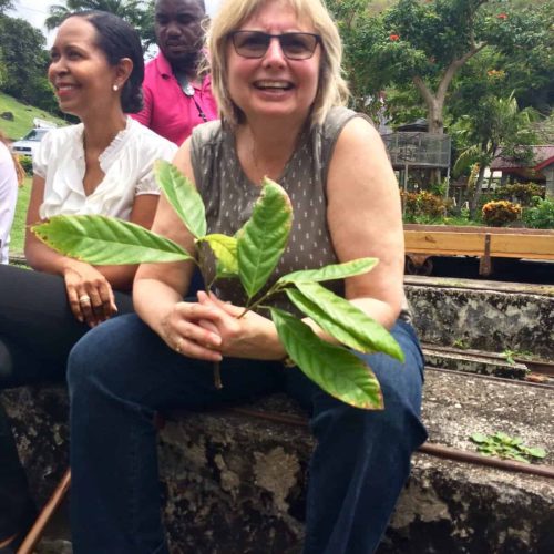 Doreen planting a cacao seedling in Grenada.