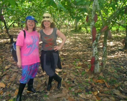 orig-cocoa-plantation-peru